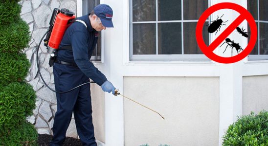 Batman Gümüşkurt İlaçlama böcek ilaçlama ve haşere kontrolü — ilaclama-tr.com